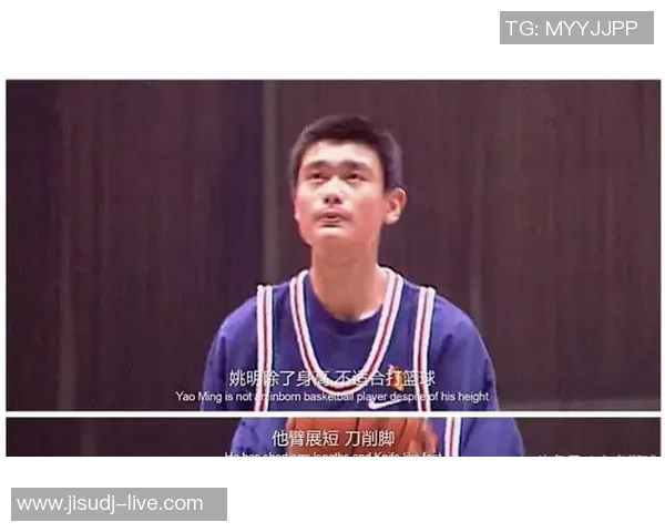 姚明听力原文解析与篮球生涯的深度探讨与反思