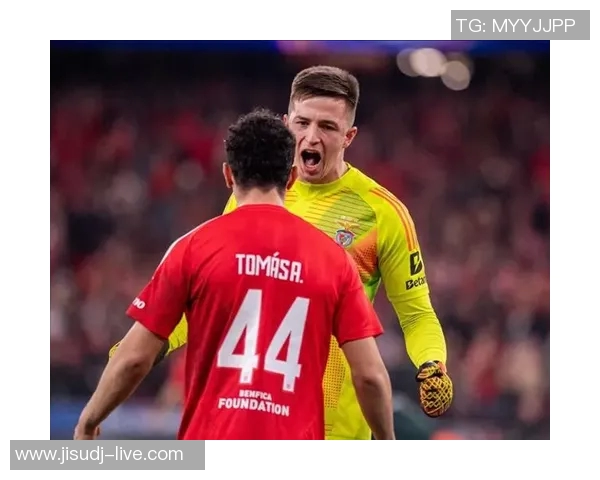 足总杯冷门大战那不勒斯与本菲卡激战成和数据分析引发球迷热议